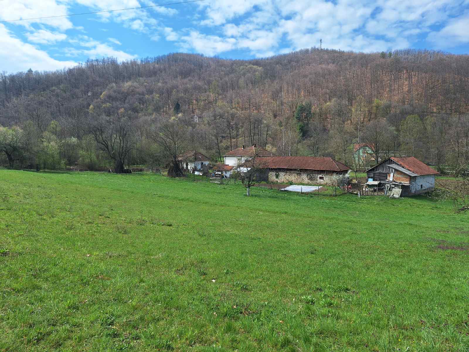 Brda